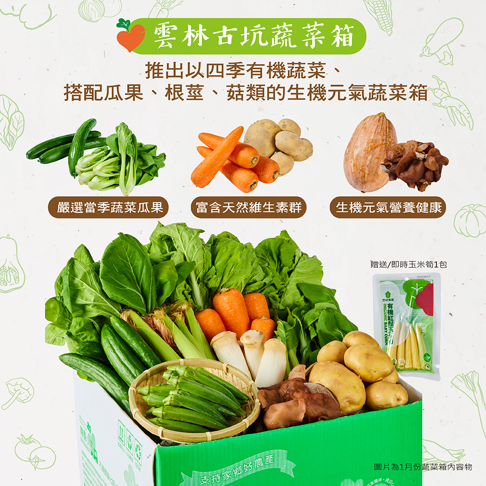 雲林古坑蔬菜箱,推出以四季有機蔬菜、搭配瓜果、根莖、菇類的生機元氣蔬菜箱,嚴選當季蔬菜瓜果,富含天然維生素群,支持家鄉好農產,生機元氣營養健康,贈送/即時玉米筍1包,有機紅璧玉,圖片為1月份蔬菜箱內容物。