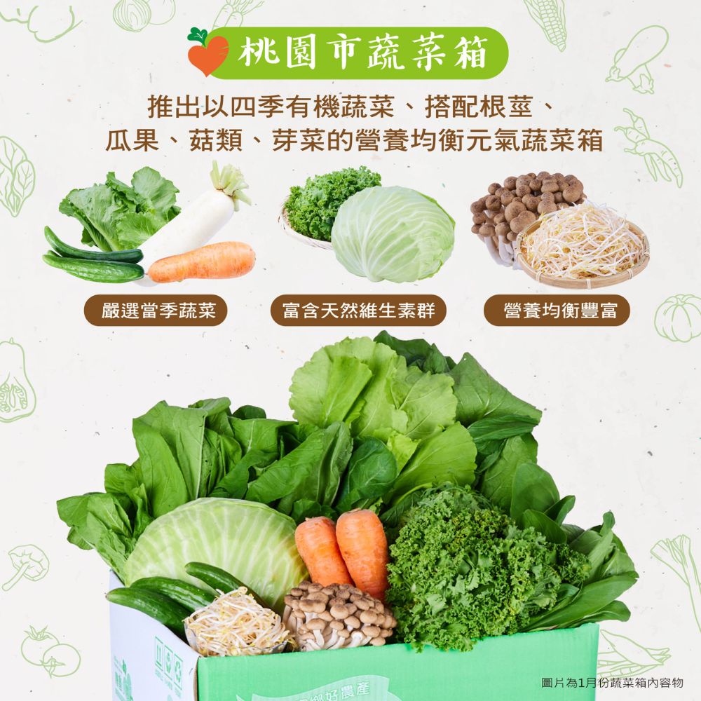 桃園市蔬菜箱，推出以四季有機蔬菜、搭配根莖、瓜果、菇類、芽菜的營養均衡元氣蔬菜箱，嚴選當季蔬菜，富含天然維生素群，你好農產，營養均衡豐富，圖片為1月份蔬菜箱內容物。