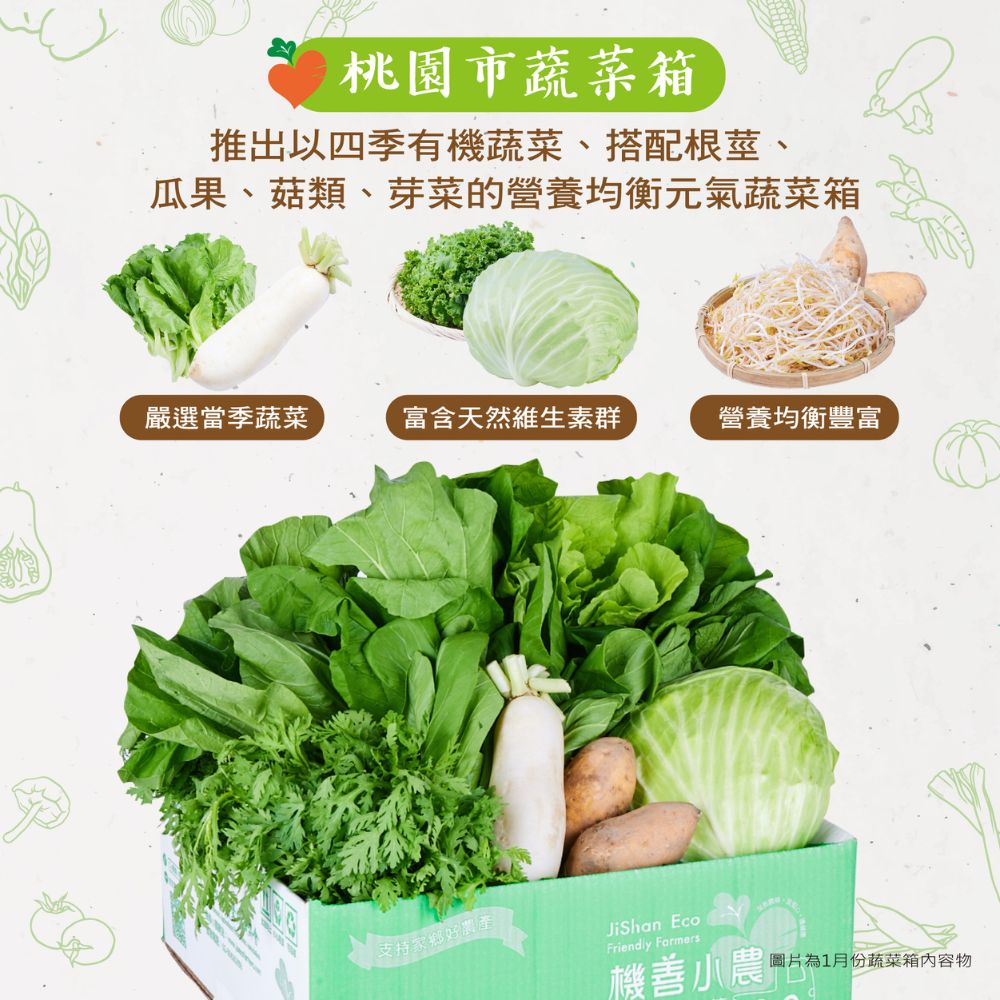 桃園市蔬菜箱，推出以四季有機蔬菜、搭配根莖、瓜果、菇類、芽菜的營養均衡元氣蔬菜箱，嚴選當季蔬菜，富含天然維生素群，支持家鄉好農產，營養均衡豐富，圖片為1月份蔬菜箱內容物，機善小農 •。