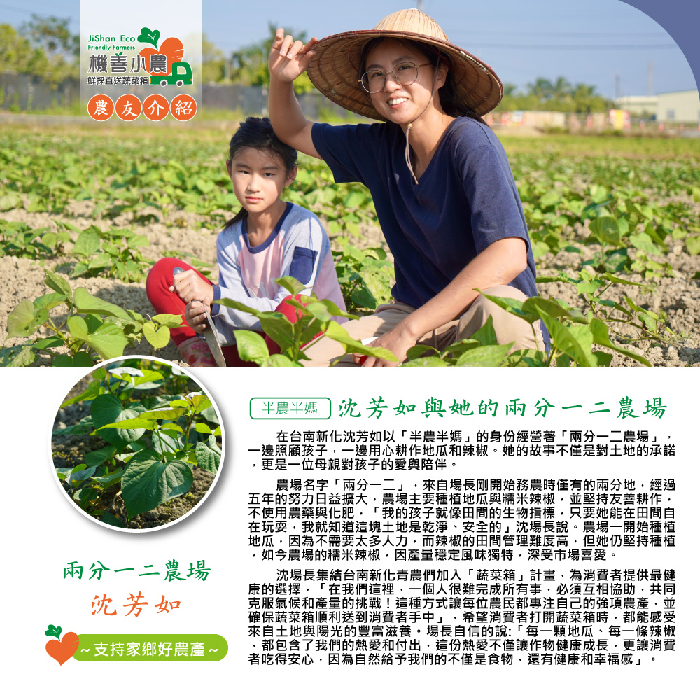 機善小農口，鮮採直送蔬菜箱，農友介紹，兩分一二農場，沈芳如，·支持家鄉好農產 ~，半農半媽 沈芳如與她的兩分一二農場，在台南新化沈芳如以半農半媽的身份經營著兩分一二農場,一邊照顧孩子,一邊用心耕作地瓜和辣椒。她的故事不僅是對土地的承諾，更是一位母親對