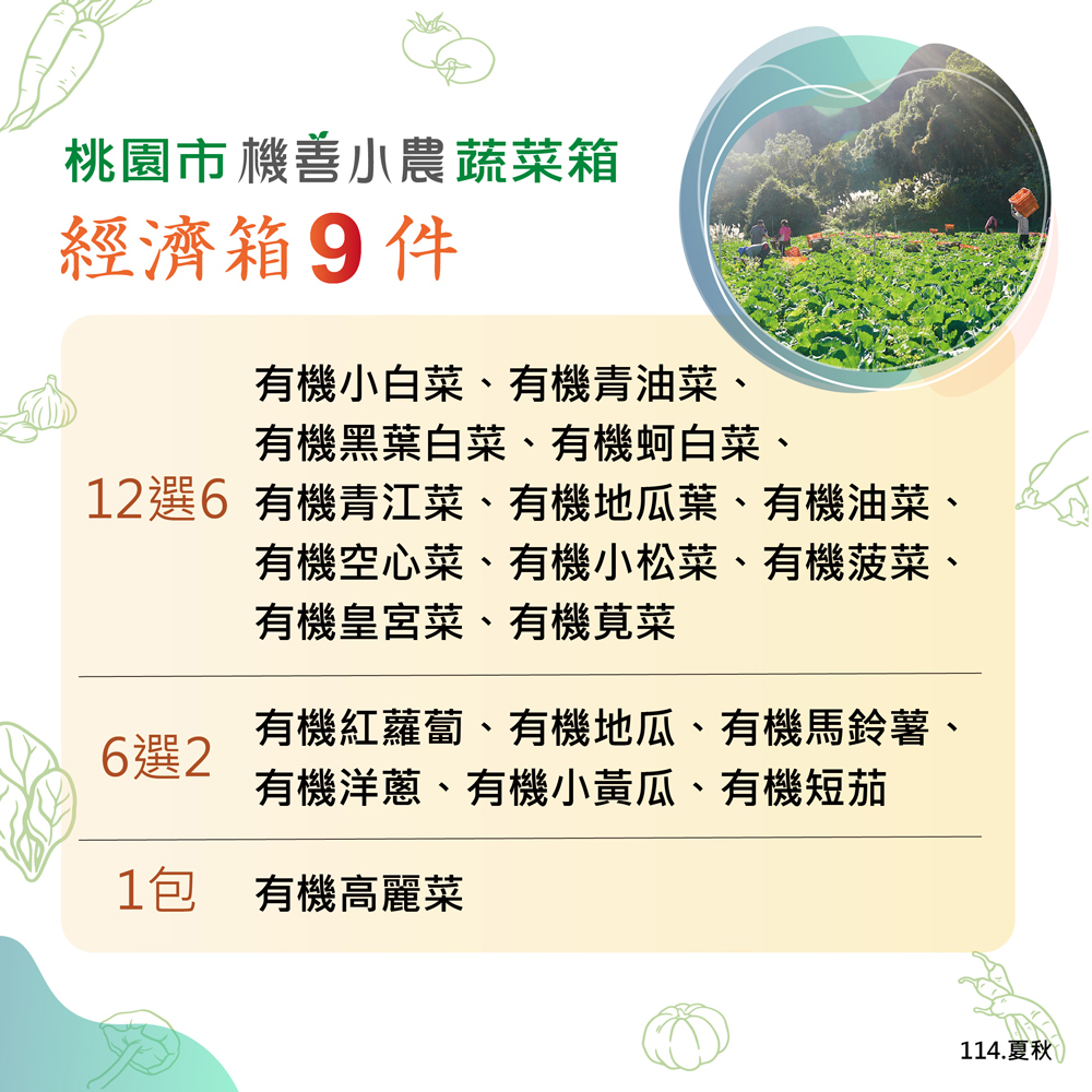 桃園市機善小農蔬菜箱,經濟箱9件,有機小白菜、有機青油菜、有機黑葉白菜、有機蚵白菜、12選6 有機青江菜、有機地瓜葉、有機油菜、有機空心菜、有機小松菜、有機菠菜、有機皇宮菜、有機莧菜,6選2,有機紅蘿蔔、有機地瓜、有機馬鈴薯、有機洋蔥、有機小黃瓜、有