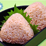 發芽玄米飯糰(塩味太郎)