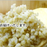發芽玄米高纖熟飯
