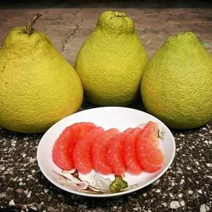 買一送一【台南麻豆老欉文旦】40年老欉紅文旦禮盒(10台斤/盒)