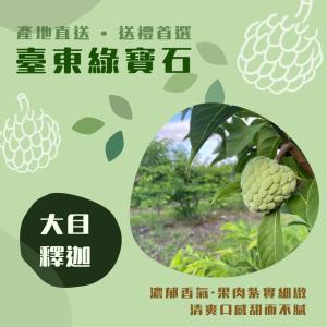 【產地直送】台東大目釋迦5斤/盒(任選1/2/3盒)