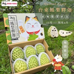 【產地直送】台東鳳梨釋迦5斤/盒(任選1/2/3盒)