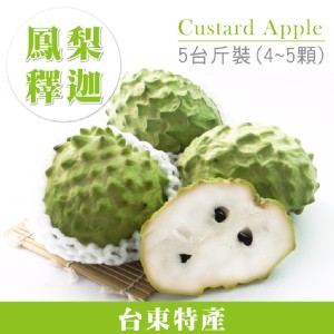 【家購網嚴選】台東鳳梨釋迦 大果 4～6粒5斤裝