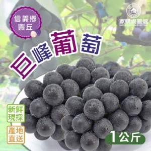 免運!【家購網嚴選】信義豐丘溫室巨峰葡萄 2公斤