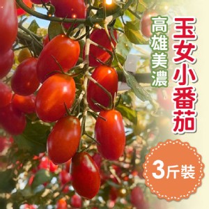 免運!【家購網嚴選】高雄美濃玉女小番茄 3斤/盒 3斤盒 (6盒，每盒532元)