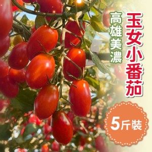 免運!【家購網嚴選】高雄美濃玉女小番茄 5斤/盒 5斤盒