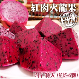 【家購網嚴選】屏東紅肉火龍果特大果5斤(約5-6顆/盒)