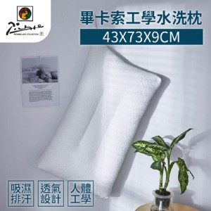 【家購網嚴選】畢卡索工學水洗枕43x73x9cm