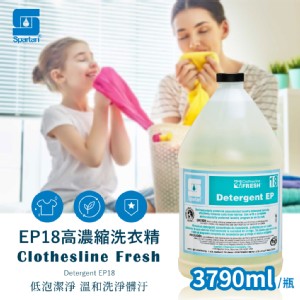 【SPARTAN斯巴達】高濃縮洗衣精(環保專業版_3790ml)
