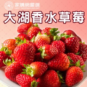 【家購網嚴選】大湖香水草莓 (1-2號果)1公斤禮盒