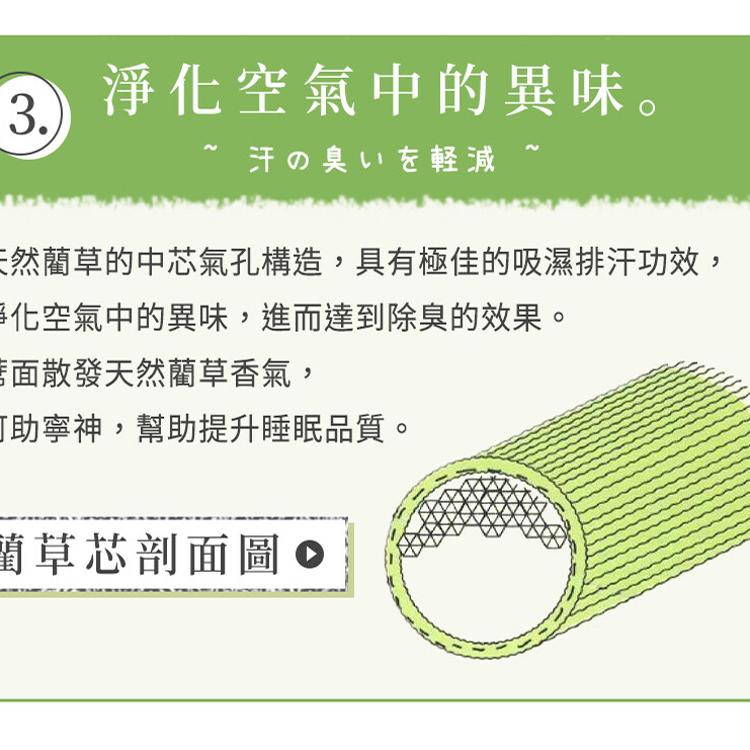 【沐眠居家】南風 天然藺草透氣坐墊-3人座墊(50x150cm) 沙發墊/椅墊/辦公坐墊