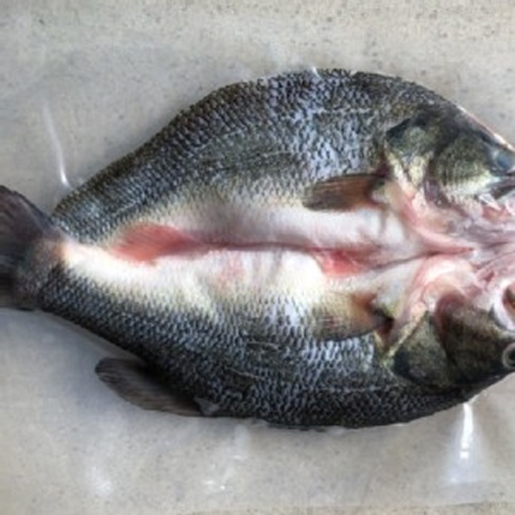 加購區-南澳山泉鱸魚-蝴蝶切