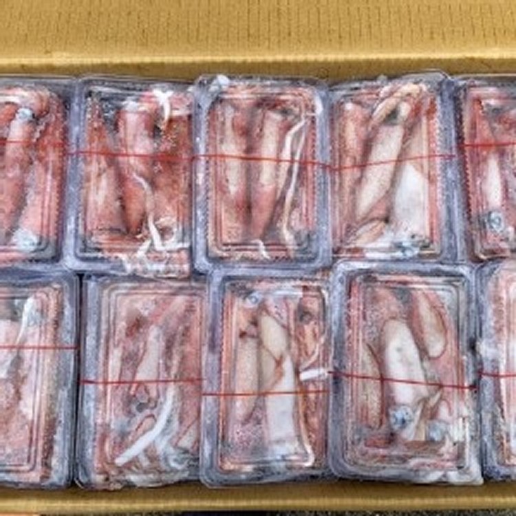 加購區-台灣船凍生大卷