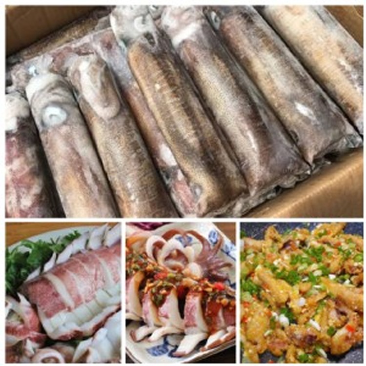 加購區-鮮甜活凍軟絲