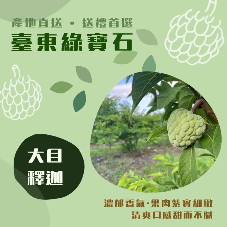 【產地直送】台東大目釋迦5斤/盒(任選1/2/3盒)