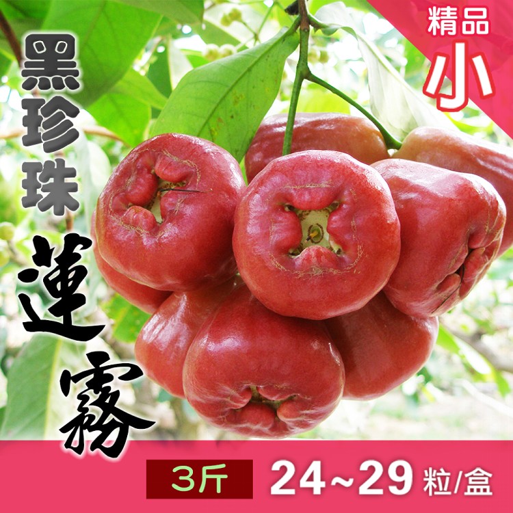【黑珍珠】屏東枋寮黑珍珠蓮霧3斤(±5%)小果