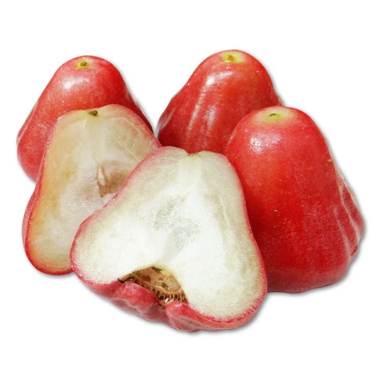 【家購網嚴選】屏東林邊黑珍珠蓮霧 精品4斤/盒 (約20-26顆/盒)