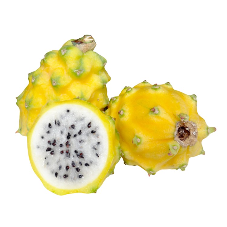 !!預購!!【家購網嚴選】溫室栽培 黃金燕窩果 3斤裝 有產銷履歷