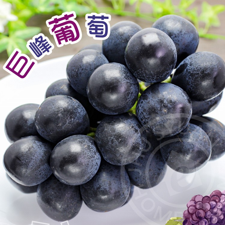 【家購網嚴選】信義豐丘溫室巨峰葡萄