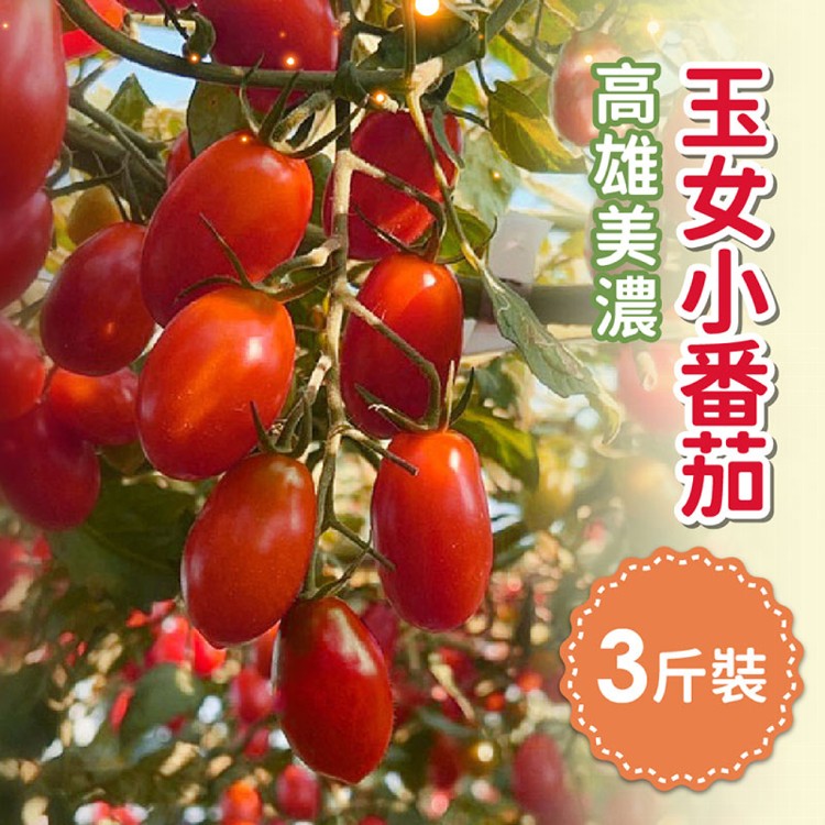 免運!【家購網嚴選】高雄美濃玉女小番茄 3斤/盒 3斤盒
