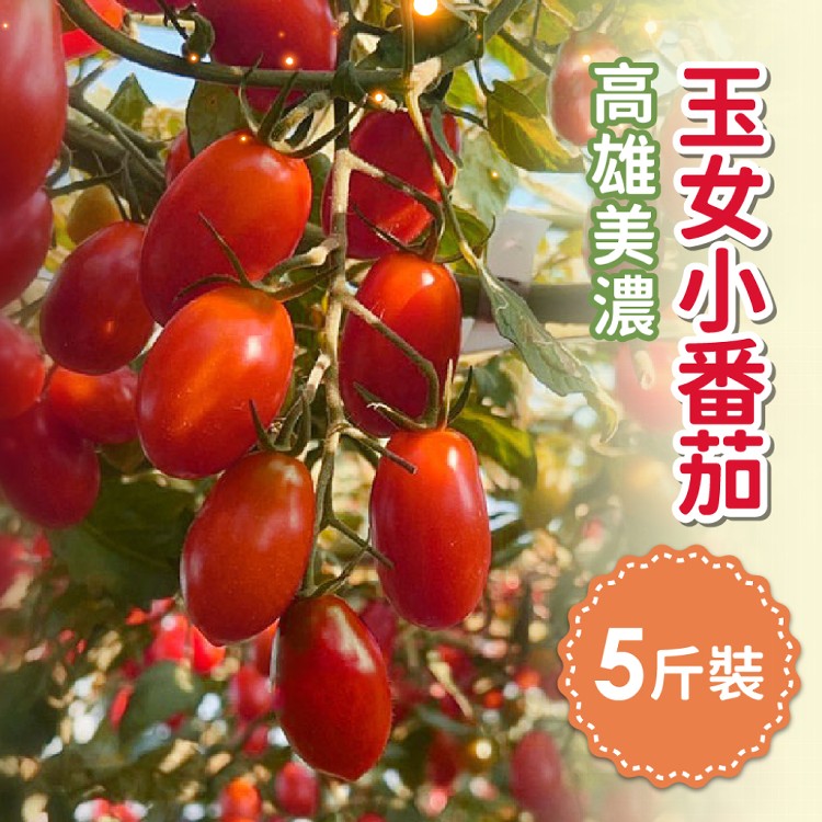 免運!【家購網嚴選】高雄美濃玉女小番茄 5斤/盒 5斤盒