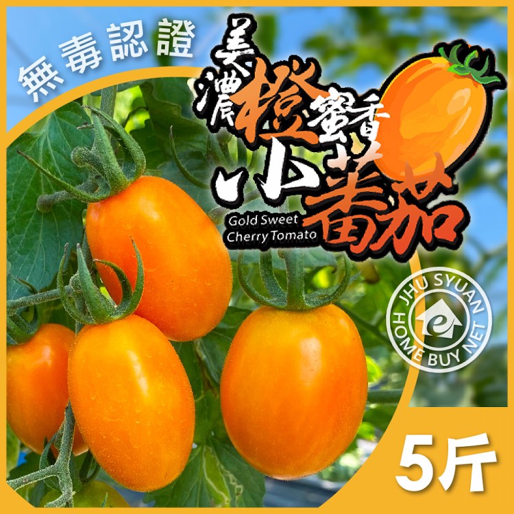 免運!【家購網嚴選】高雄美濃橙蜜香小番茄 5斤 5斤/箱 (6箱,每箱498.3元)