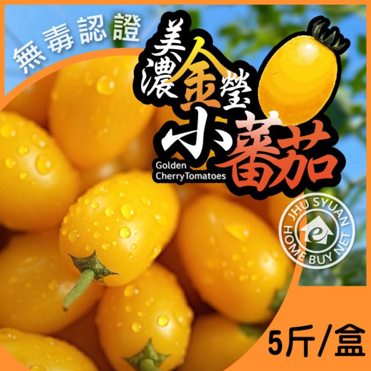 【家購網嚴選】高雄美濃冠軍金瑩小番茄 5斤