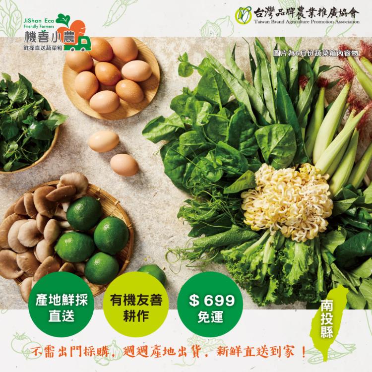 【機善小農_蔬菜箱】南投縣_經濟箱9件(每週出箱)(有機友善/產地鮮採直送/支持家鄉好農產)