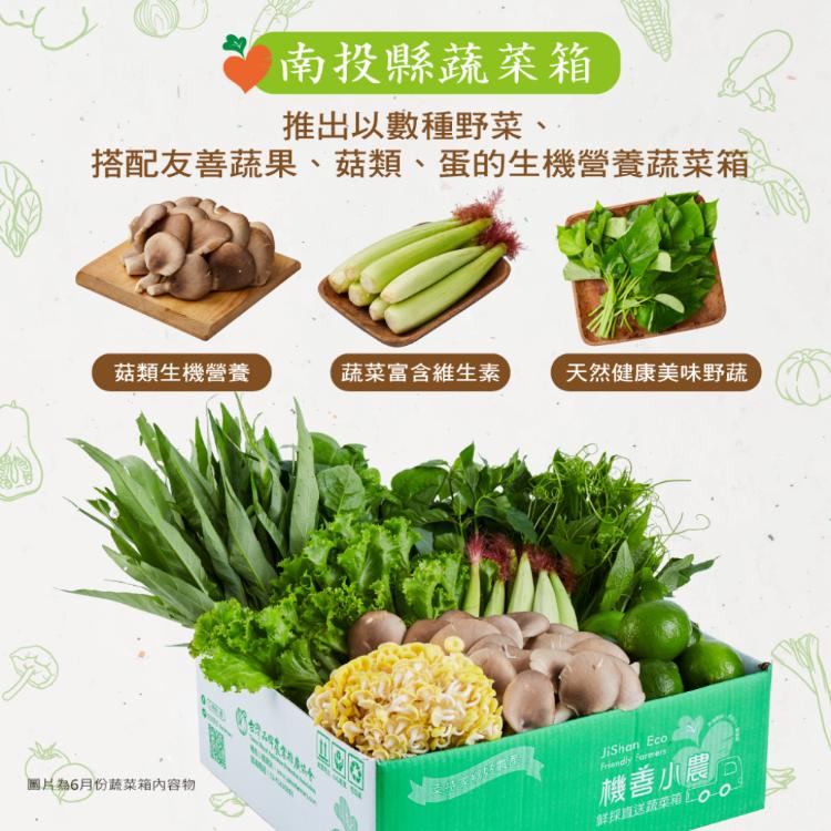 【機善小農_蔬菜箱】南投縣_經濟箱9件(每週出箱)(有機友善/產地鮮採直送/支持家鄉好農產)