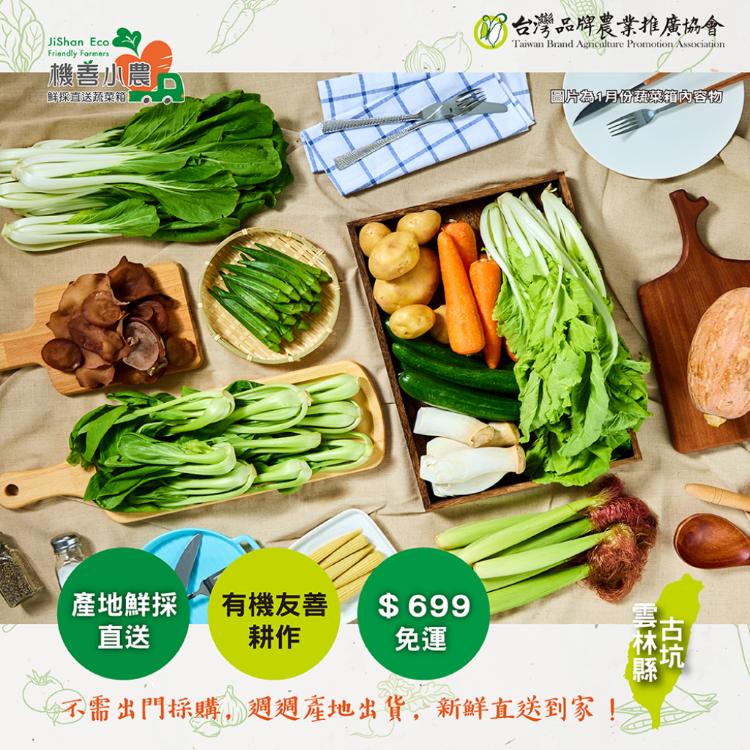 【機善小農_蔬菜箱】雲林縣古坑_經濟箱_10包(每週出箱)(有機友善/產地鮮採直送/支持家鄉好農產)