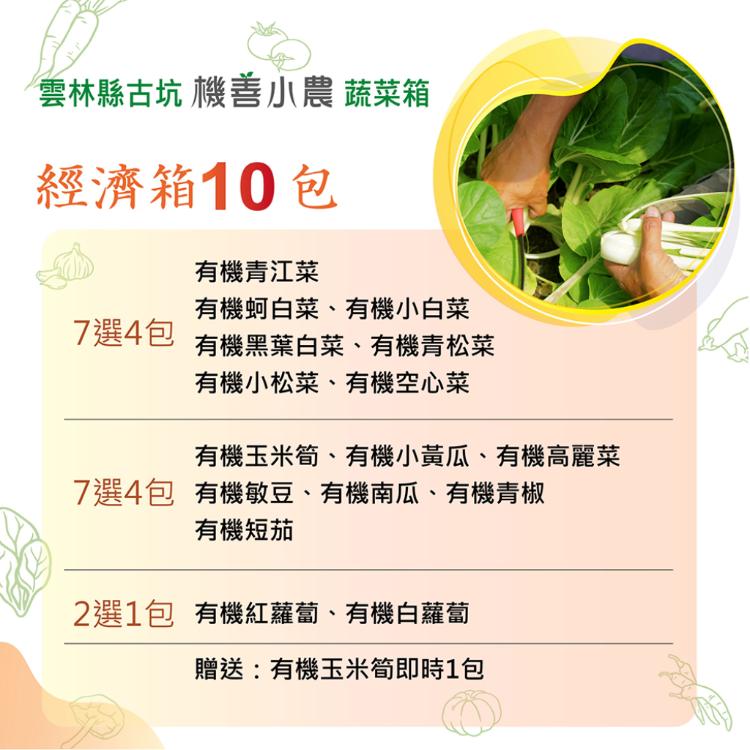 【機善小農_蔬菜箱】雲林縣古坑_經濟箱_10包(每週出箱)(有機友善/產地鮮採直送/支持家鄉好農產)