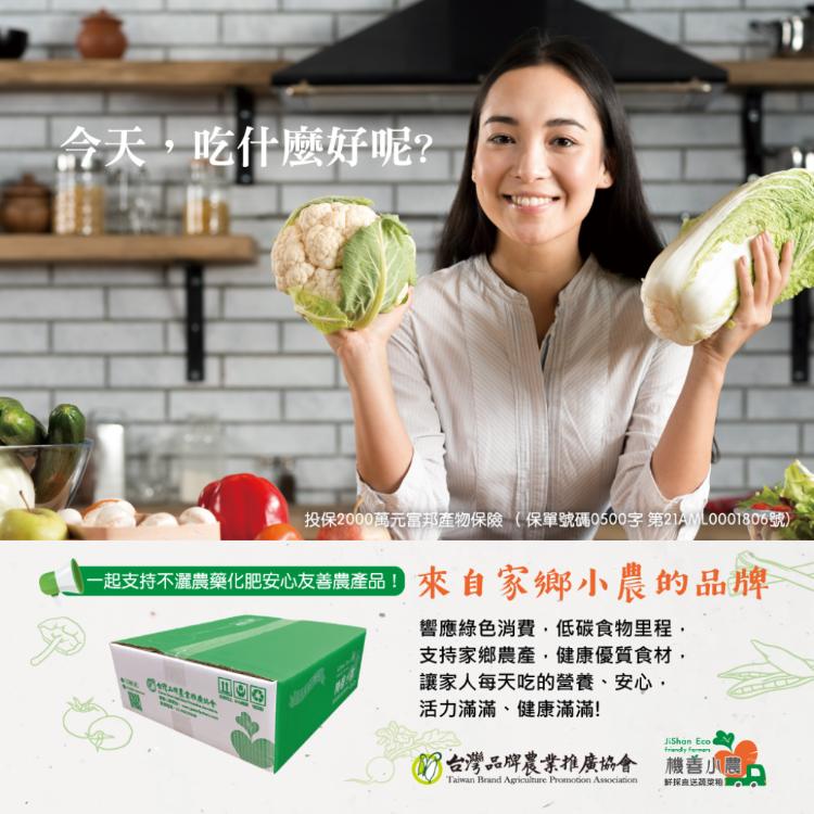 【機善小農_蔬菜箱】台南市新化青農_經濟箱9件(每週出箱/有機友善/產地鮮採直送/支持家鄉好農產)