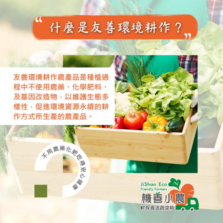 【機善小農_蔬菜箱】台南市_家庭箱13件(每週出箱/有機友善/產地鮮採直送/支持家鄉好農產)
