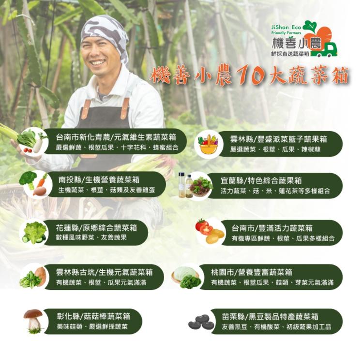 【機善小農_蔬菜箱】台南市_經濟箱10件(每週出箱/有機友善/產地鮮採直送/支持家鄉好農產)