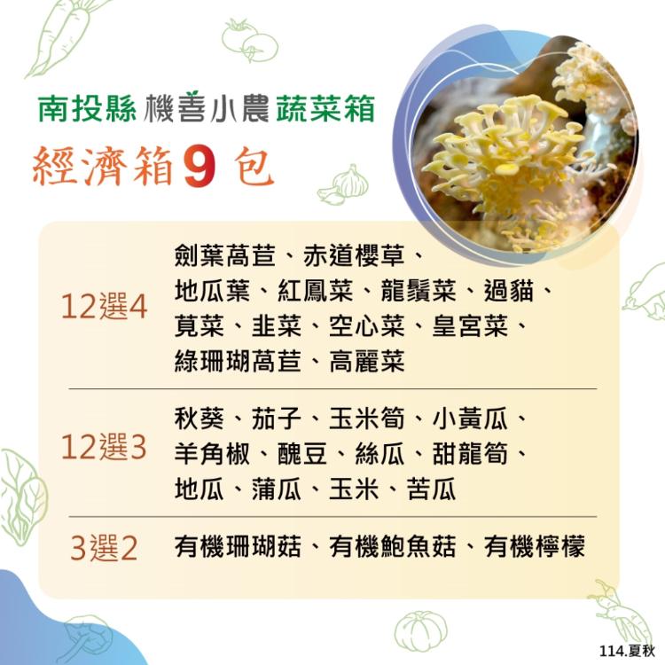 【機善小農_蔬菜箱】南投縣_經濟箱9件(每週出箱)(有機友善/產地鮮採直送/支持家鄉好農產)