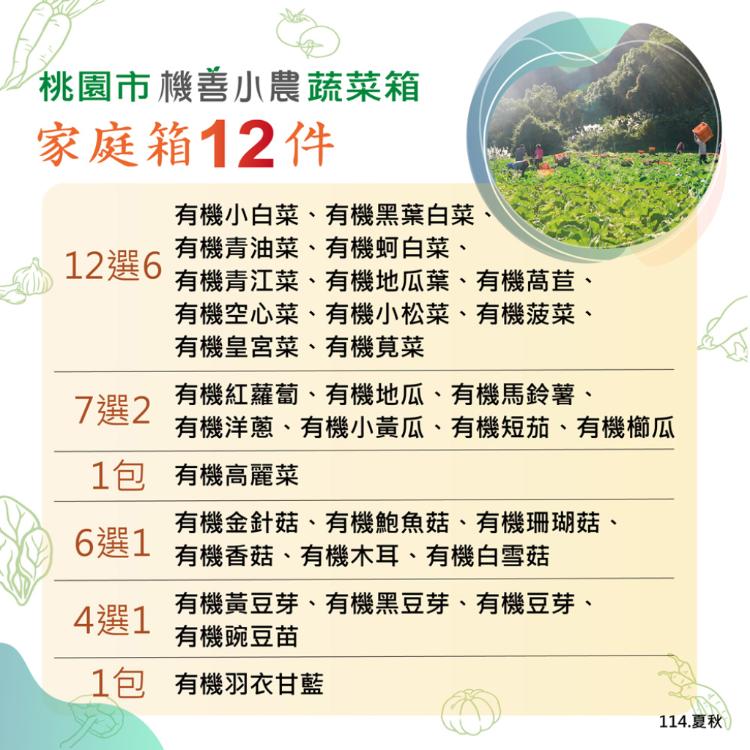 【機善小農_蔬菜箱】桃園市_家庭號箱12件(每週出箱)(有機友善/產地鮮採直送/支持家鄉好農產)