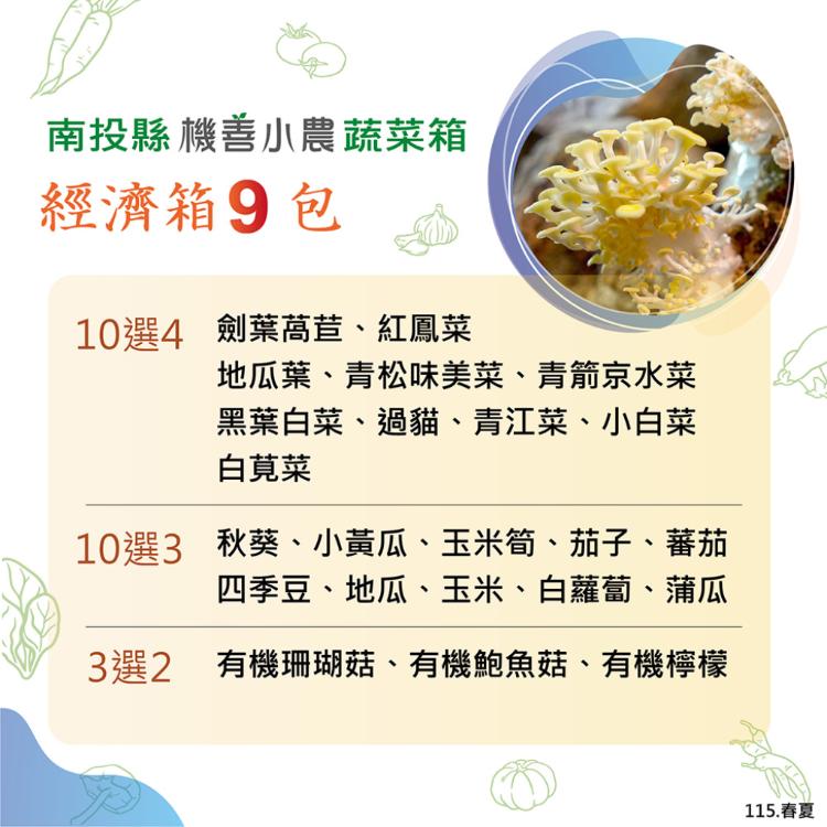 【機善小農_蔬菜箱】南投縣_經濟箱9件(每週出箱)(有機友善/產地鮮採直送/支持家鄉好農產)