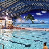 美誼游泳票/券 特價：$130