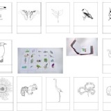 著色卡 特價：$300