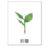 控制卡第一輯（中文版） 特價：$900