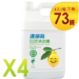 清淨海 環保洗衣精 4000g★ 4入/箱 ★限量下殺73折