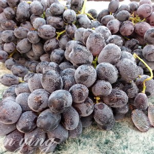 黑糖蜜無籽葡萄 - 600g