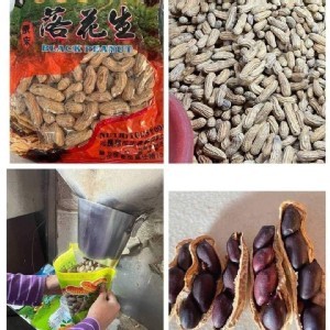 黑金剛花生600公克