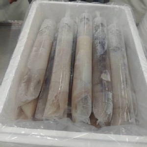鮮凍阿根廷大魷魚🦑2尾組 規格：300~400g×2尾