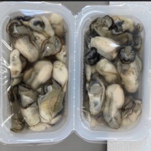 新鮮東石直送的鮮蚵實重600g 以上