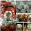 花枝丸/600g